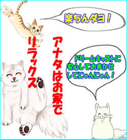 無料登録をして会員になれば私たちが全て交渉を致しますので安心して下さい。